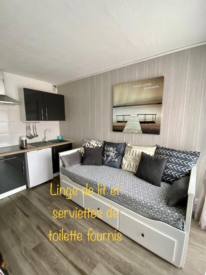 Studio Cabine Centre Port Cap D'Агд Екстер'єр фото